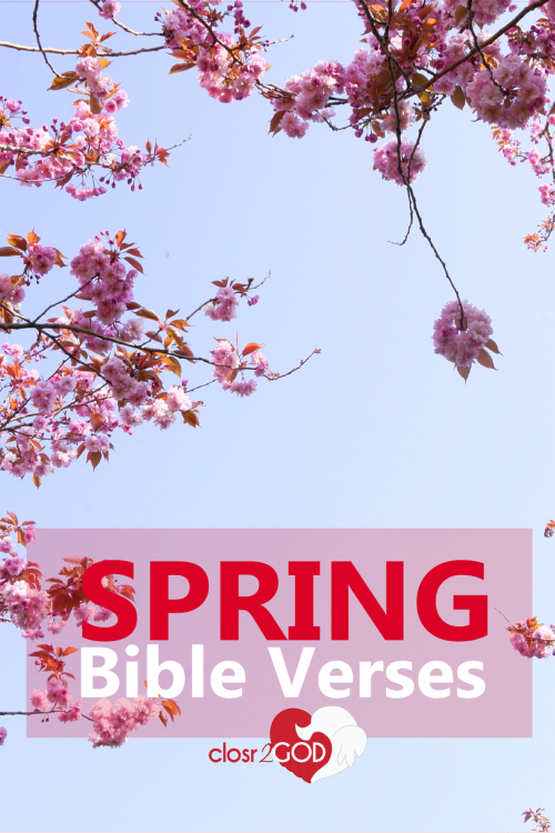 Spring Bible Verses​